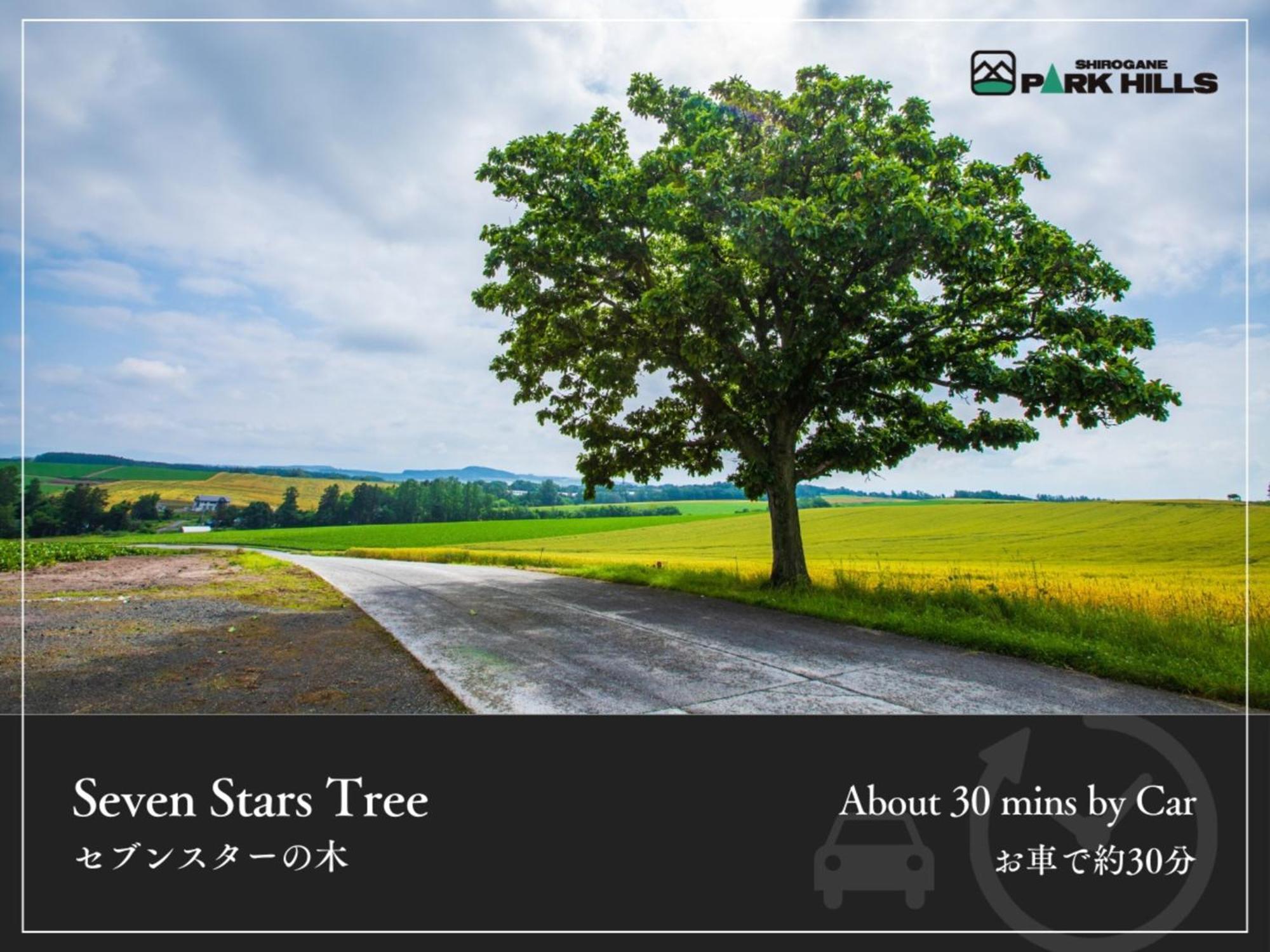 Biei Shirogane Onsen Hotel Park Hills ภายนอก รูปภาพ